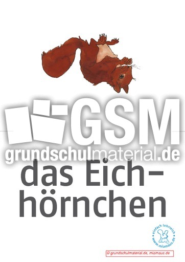 Bildkarten_d_Waldtiere 6.pdf